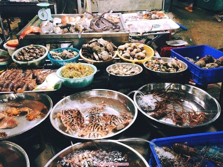 Dậy từ 3h đi khu chợ hải sản đêm sầm uất nhất lý sơn đủ loại hải sản xịn xò với giá rẻ chưa từng thấy - 4