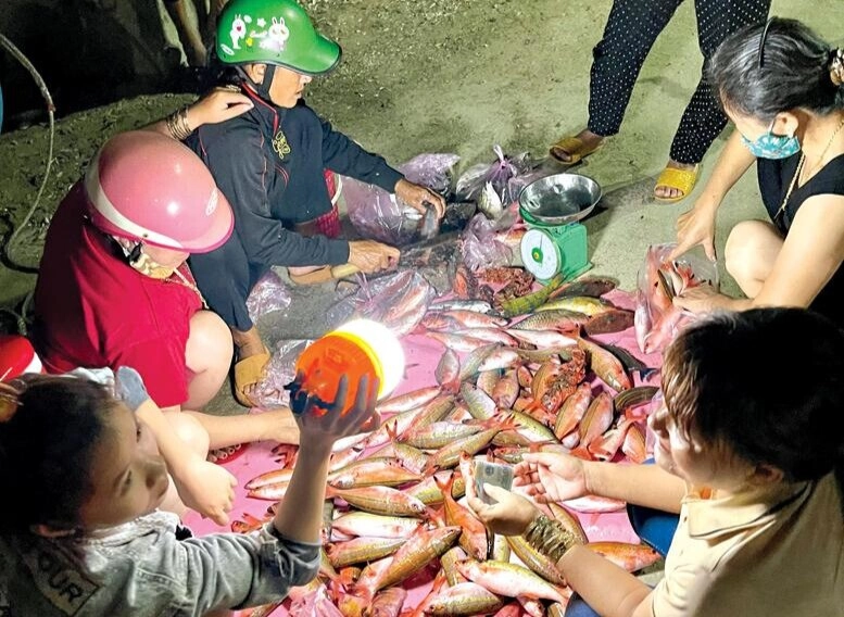 Dậy từ 3h đi khu chợ hải sản đêm sầm uất nhất lý sơn đủ loại hải sản xịn xò với giá rẻ chưa từng thấy - 5