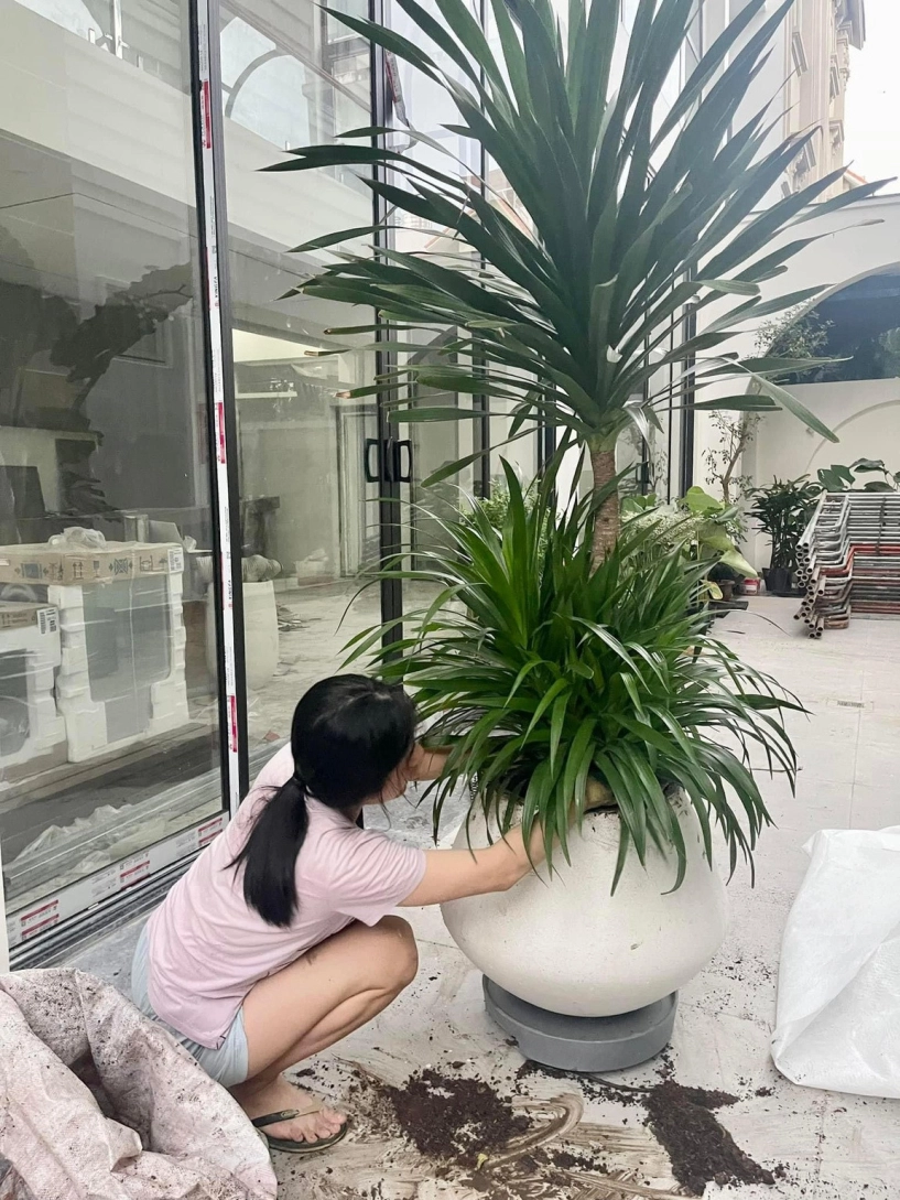 Diễn viên vân trang và chồng đại gia sống sung túc trong biệt thự 1000m2 - 15
