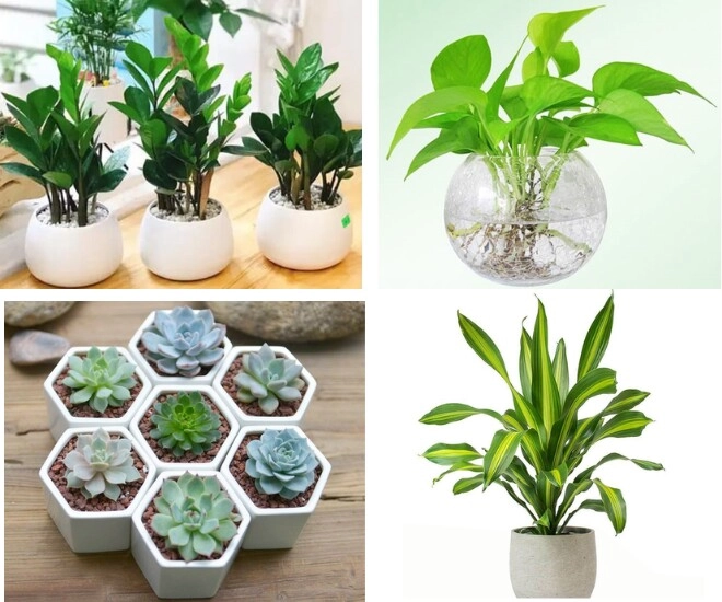 Đừng chỉ mua vàng đây là 6 món đồ trang trí bàn làm việc giúp bạn rước vía thần tài suốt cả năm ất tỵ - 3
