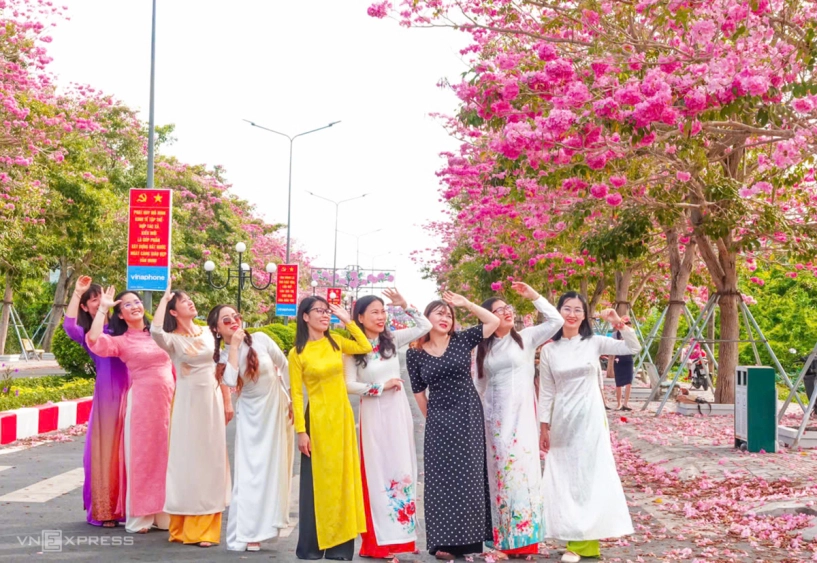 Đường kèn hồng đẹp nhất miền tây hút khách - 6