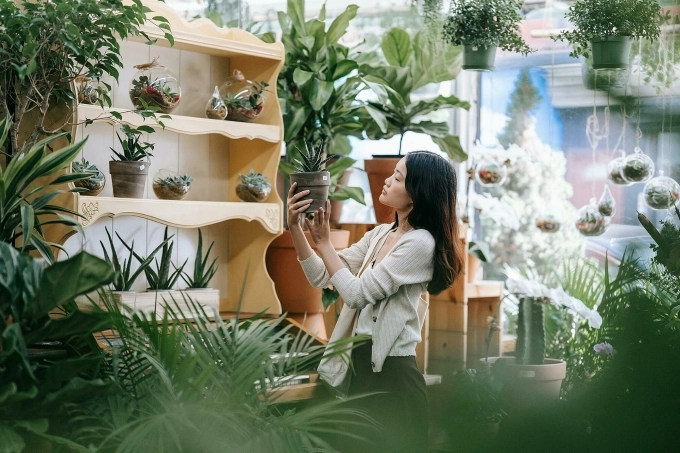 Gen z tìm về những thú chơi thời ông bà - 1