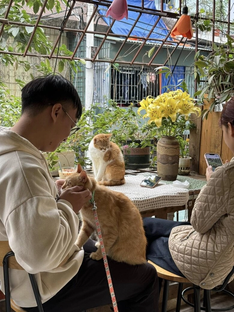 Giới trẻ săn lùng những quán cafe giấu mình trong khu tập thể cũ góc nào cũng xinh đảm bảo check-in cháy máy - 4