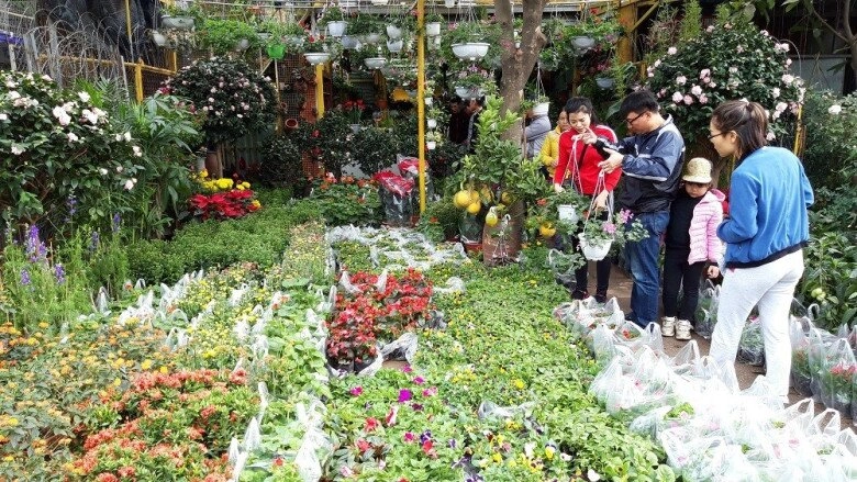 Giữa lòng hải phòng có phiên chợ quê hiếm hoi còn sót lại lúc nào cũng sầm uất vì cần gì cũng có - 2