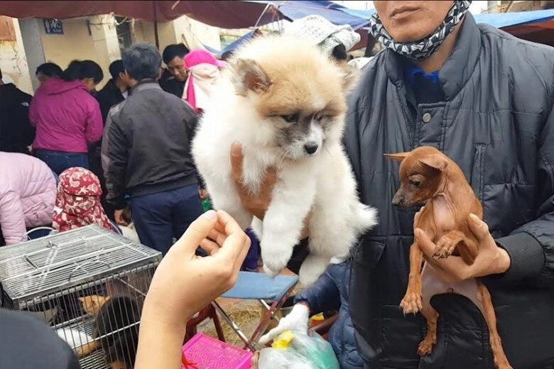 Giữa lòng hải phòng có phiên chợ quê hiếm hoi còn sót lại lúc nào cũng sầm uất vì cần gì cũng có - 3