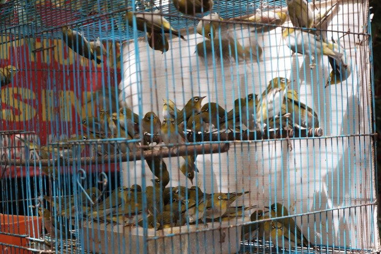 Giữa lòng thủ đô có phiên chợ chỉ họp vài ngày 1 tháng đàn ông tụ tập đông đúc chỉ ngắm chứ không mua - 2