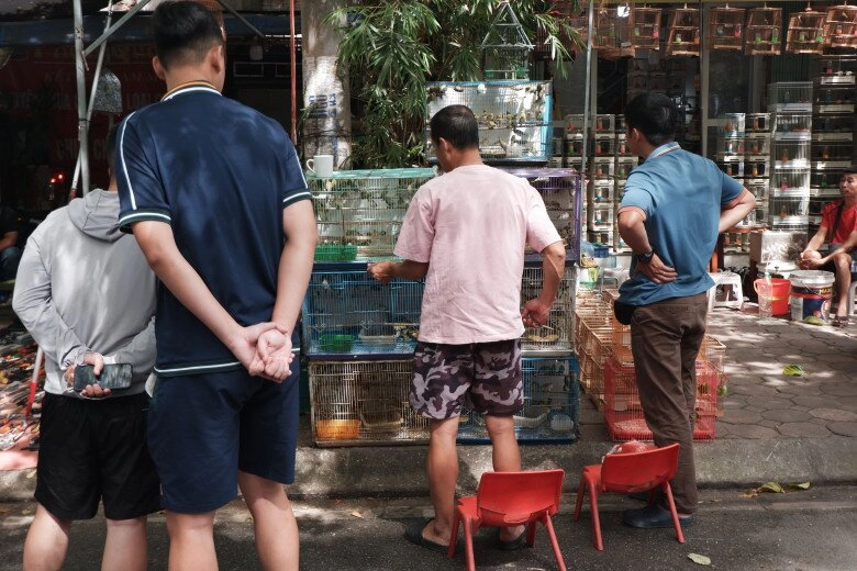 Giữa lòng thủ đô có phiên chợ chỉ họp vài ngày 1 tháng đàn ông tụ tập đông đúc chỉ ngắm chứ không mua - 4