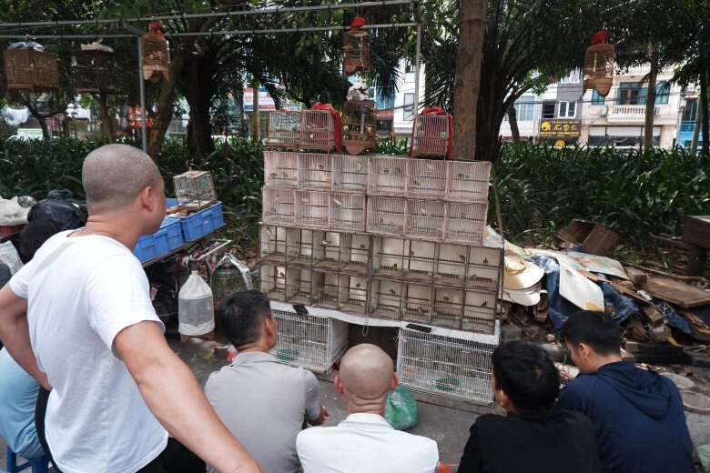 Giữa lòng thủ đô có phiên chợ chỉ họp vài ngày 1 tháng đàn ông tụ tập đông đúc chỉ ngắm chứ không mua - 6
