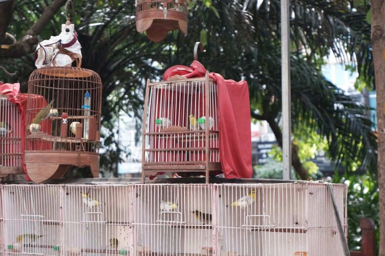 Giữa lòng thủ đô có phiên chợ chỉ họp vài ngày 1 tháng đàn ông tụ tập đông đúc chỉ ngắm chứ không mua - 9