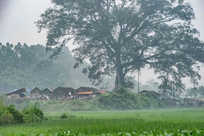 Giữa lòng tuyên quang có ngôi chợ được mệnh danh chợ quê đẹp nhất việt nam nét đẹp xưa cũ hiếm có - 3