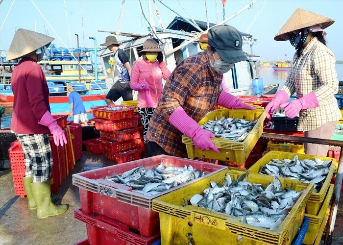 Giữa lòng vũng tàu có khu chợ chuẩn ngon-bổ-rẻ được mệnh danh là thiên đường hải sản - 2
