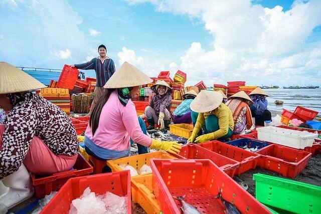 Giữa lòng vũng tàu có khu chợ chuẩn ngon-bổ-rẻ được mệnh danh là thiên đường hải sản - 3