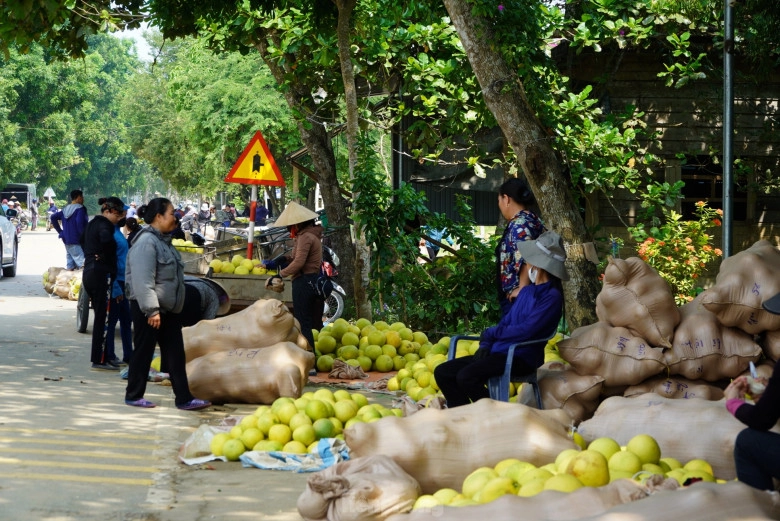Hà tĩnh có phiên chợ chỉ họp 2 tháng trong năm bán duy nhất đệ nhất danh quả thơm lừng một con đường - 1