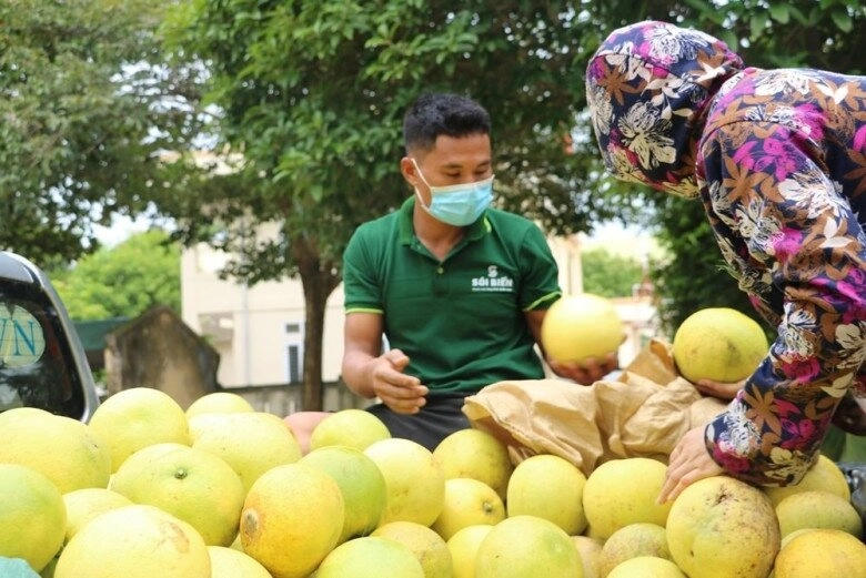 Hà tĩnh có phiên chợ chỉ họp 2 tháng trong năm bán duy nhất đệ nhất danh quả thơm lừng một con đường - 2