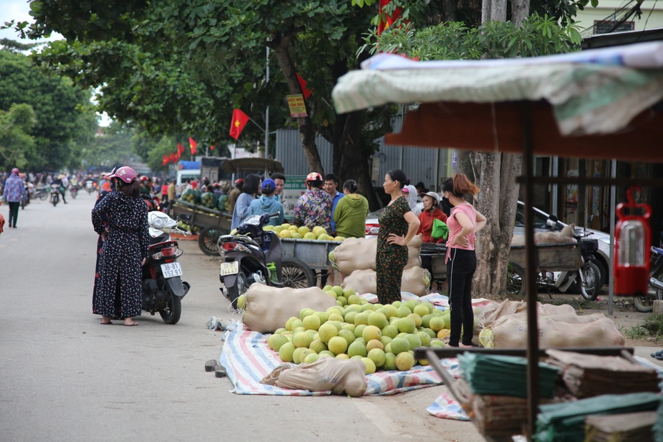 Hà tĩnh có phiên chợ chỉ họp 2 tháng trong năm bán duy nhất đệ nhất danh quả thơm lừng một con đường - 3