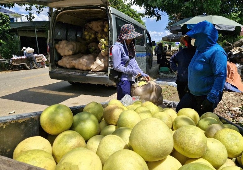 Hà tĩnh có phiên chợ chỉ họp 2 tháng trong năm bán duy nhất đệ nhất danh quả thơm lừng một con đường - 4