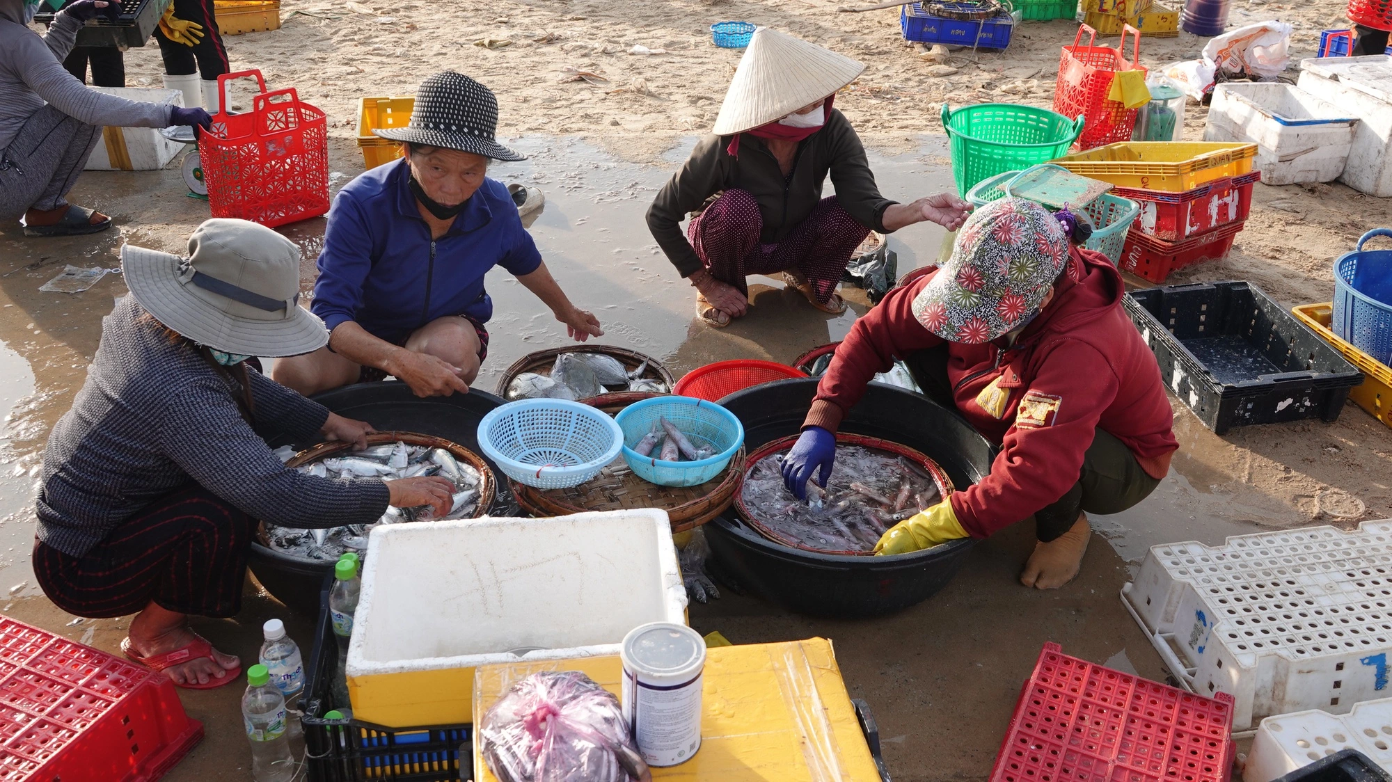 Hàng trăm phụ nữ đổ về khu chợ cá quảng ngãi mỗi sớm tinh mơ cái tên lạ khiến nhiều người khó hiểu - 3