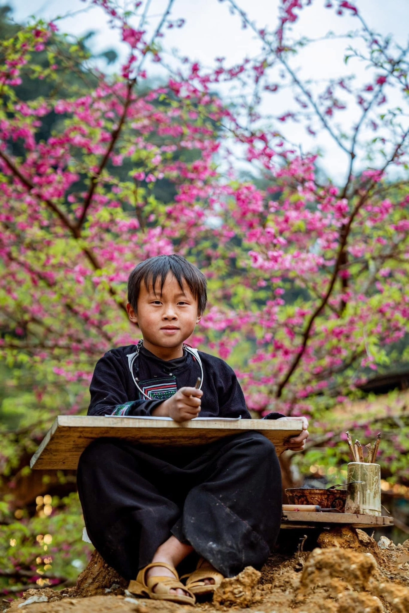 Hoa anh đào đã rực rỡ khoe sắc ở cát cát - 6