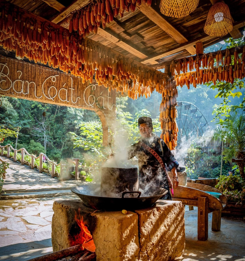 Hoa anh đào đã rực rỡ khoe sắc ở cát cát - 12