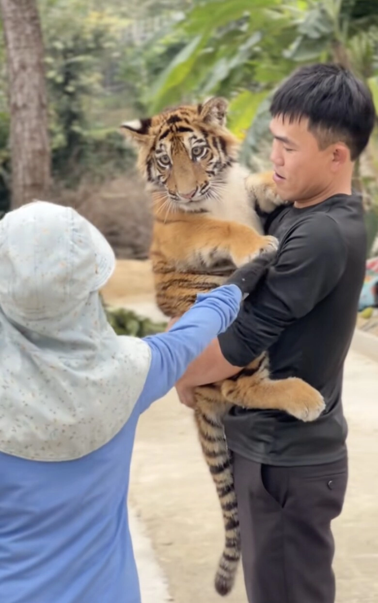 idol mới nổi gọi tên ngao là chúa sơn lâm nhưng vẻ ngoại nũng nịu chiến thần ngoại giao hút khách du lịch về nghệ an - 3