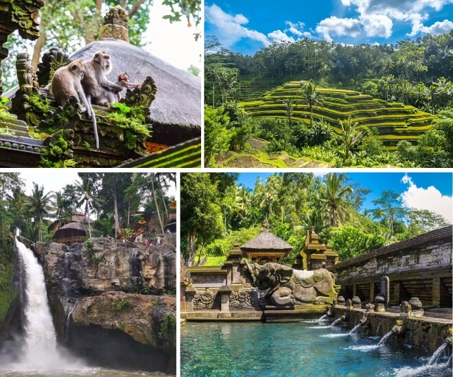 Jeju hàn quốc và ubud bali indonesia đâu là điểm đến lý tưởng cho chuyến đi healing với ngân sách 12 triệu đồng - 6