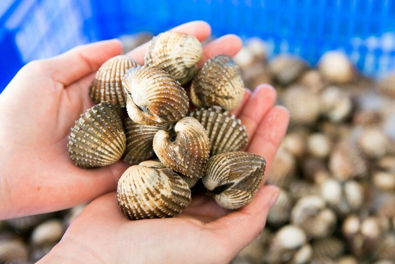 Khám phá điểm đón bình minh sớm nhất cả nước ở đắk lắk phong cảnh tựa thiên đường được tân hoa hậu việt nam tích cực giới thiệu - 7