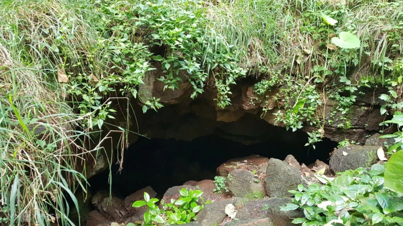 Khám phá hang động như thành quách dưới rừng ở đồng nai - 10