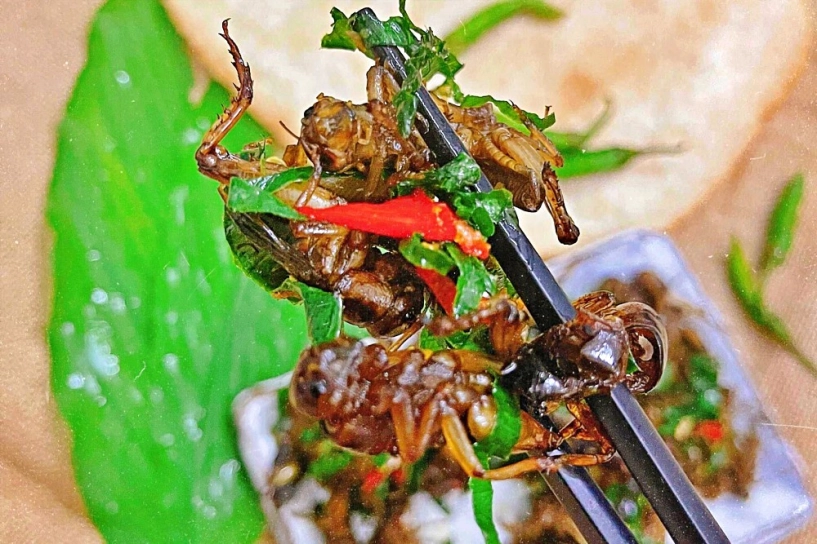Khám phá ngọn núi vừa đẹp vừa huyền bí ở đồng nai hút khách du lịch quanh năm được ví như đà lạt của đông nam bộ - 5