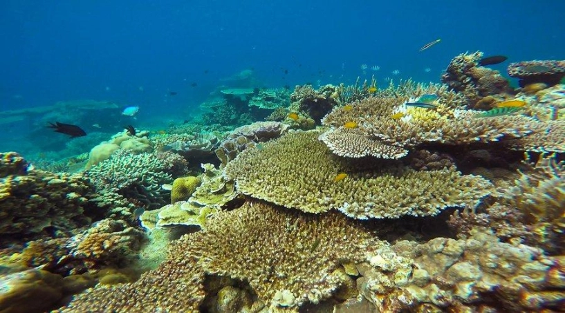 Khám phá nơi mệnh danh là bali thu nhỏ ở kiên giang sở hữu cảnh sắc thiên nhiên đẹp tuyệt đối thưởng thức đặc sản ngon quên lối về - 3