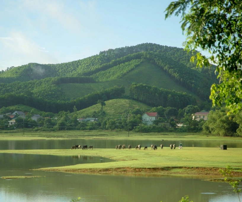 Khám phá vùng đất hữu tình tại quê vua đất chúa được ví vịnh hạ long trên cạn sở hữu cây cổ thụ quý báu gần 700 tuổi - 1