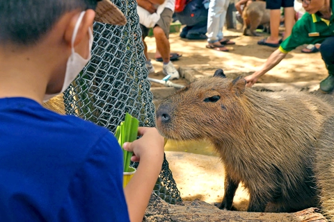 Không cần đến nam mỹ capybara - thánh chill của thế giới động vật đã về đến thảo cầm viên sài gòn - 1