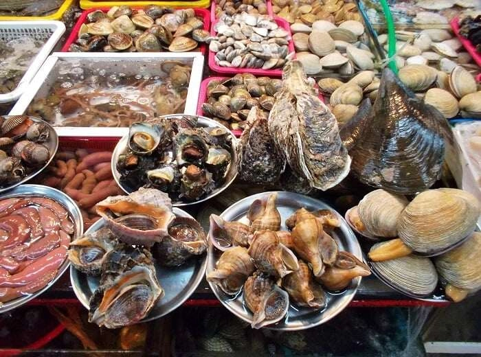 Khu chợ chuyên bán hải sản ngon rẻ ở thanh hóa chỉ dân địa phương biết du khách nào cũng mê vì đồ tươi giá hời - 4