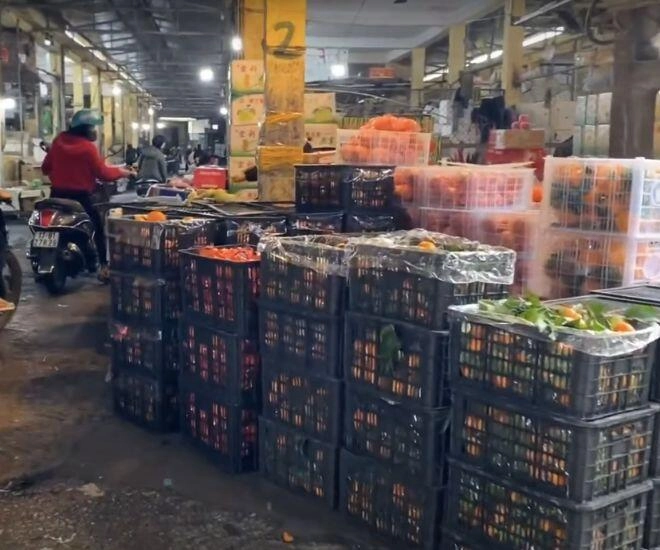 Khu chợ đầu mối không ngủ giữa lòng thái bình lúc nào cũng đông đúc người mua bán vì giá cực rẻ - 1