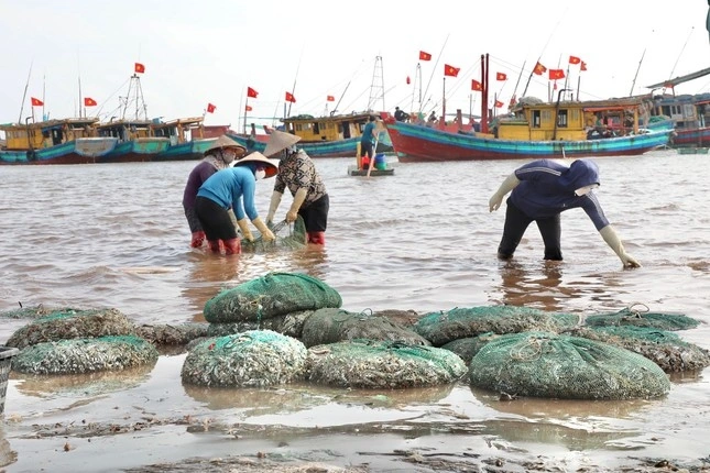 Khu chợ hải sản sầm uất nhất nam định hàng tấn cá tôm bán hết veo chỉ trong 2 tiếng - 1