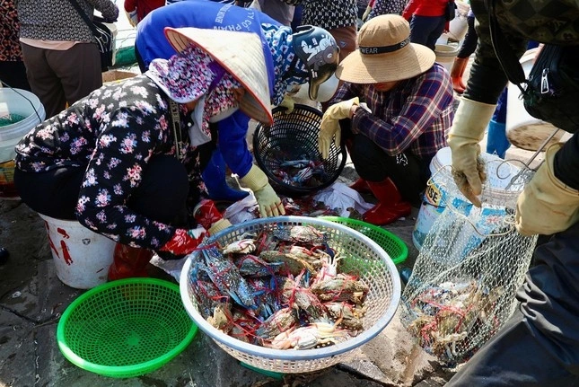 Khu chợ hải sản sầm uất nhất nam định hàng tấn cá tôm bán hết veo chỉ trong 2 tiếng - 2