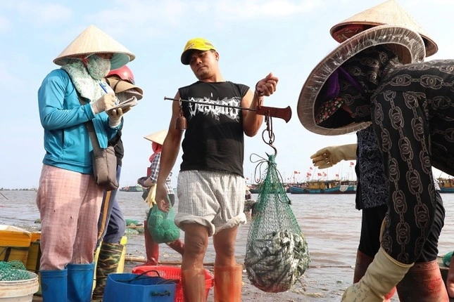 Khu chợ hải sản sầm uất nhất nam định hàng tấn cá tôm bán hết veo chỉ trong 2 tiếng - 3