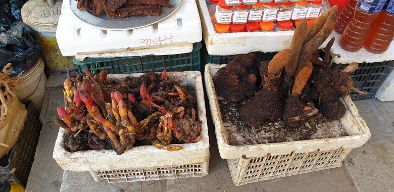 Khu chợ không thể không ghé ở sapa bán đủ thứ đặc sản rừng không nơi nào có - 5