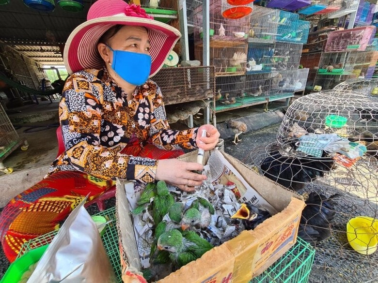 Khu chợ nằm ven đường nổi tiếng ở long an chuyên bán đủ các loại nông sản đến chim trời quý hiếm - 3