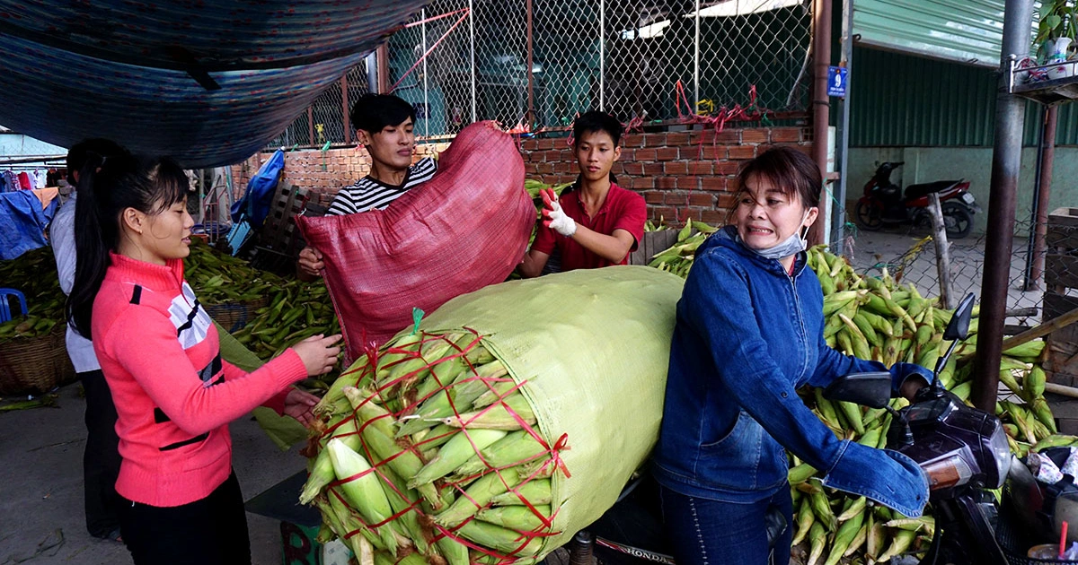 Khu chợ tồn tại 20 năm giữa lòng sài gòn chỉ bán duy nhất 1 mặt hàng nhưng lúc nào cũng đông nghịt khách - 5
