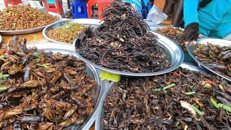 Kỳ lạ chợ côn trùng lớn nhất miền tây cánh đàn ông thích mê vì lời đồn xuân dược - 2