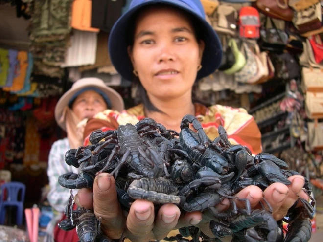 Kỳ lạ chợ côn trùng lớn nhất miền tây cánh đàn ông thích mê vì lời đồn xuân dược - 4