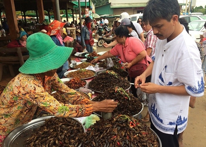 Kỳ lạ chợ côn trùng lớn nhất miền tây cánh đàn ông thích mê vì lời đồn xuân dược - 5