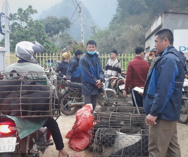 Lạ kỳ phiên chợ người đứng cá nằm giữa núi rừng sơn la bán đủ sản vật hiếm nơi nào có - 2