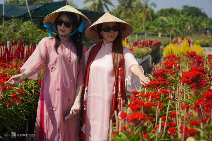 Làng hoa sa đéc hút khách tham quan cận tết - 3
