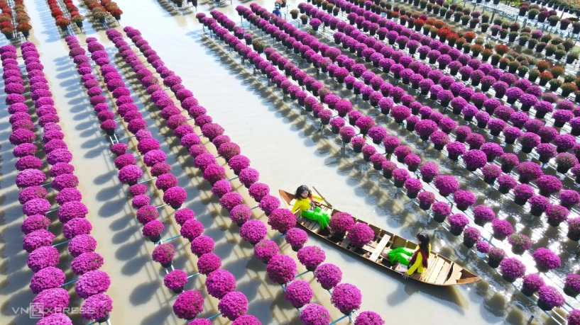 Làng hoa sa đéc hút khách tham quan cận tết - 6