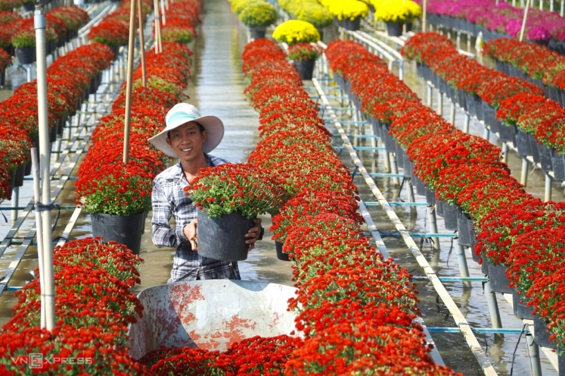 Làng hoa sa đéc hút khách tham quan cận tết - 8