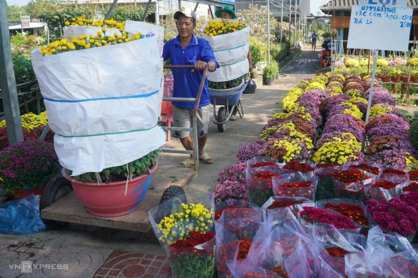 Làng hoa sa đéc hút khách tham quan cận tết - 9