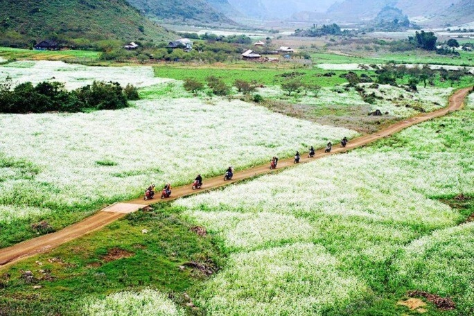 làng nguyên thủy 3 không trên cao nguyên mộc châu là thiên đường cho hội chữa lành với không khí mát lạnh luôn dưới 26 độ c - 1