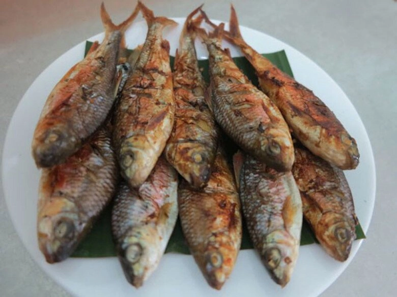 Loài cá chỉ có ở nghệ an là đặc sản thơm ngon nức tiếng nay hiếm đến mức phải bảo tồn dù giá lên tới 400000 đồngkg - 5