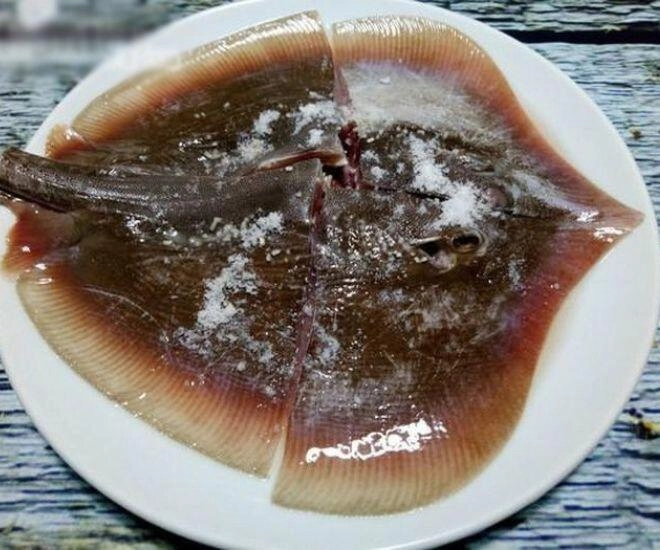 Loài cá có cái tên đã thấy lồi lõm lại là đặc sản gây nghiện ở phan thiết thử một lần là mê mẩn - 1